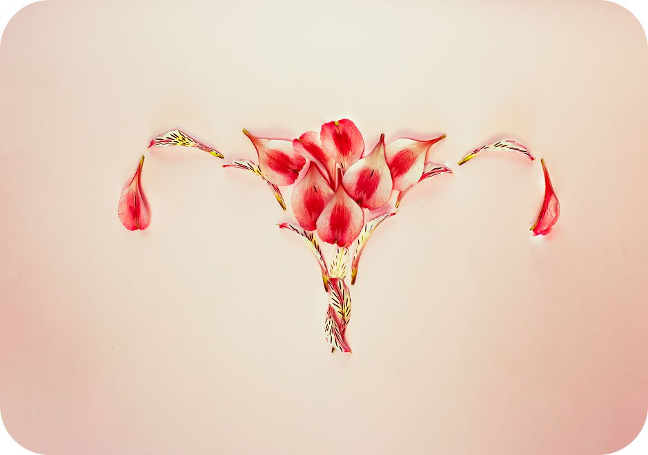 Illistration of vagina made from flower petals.